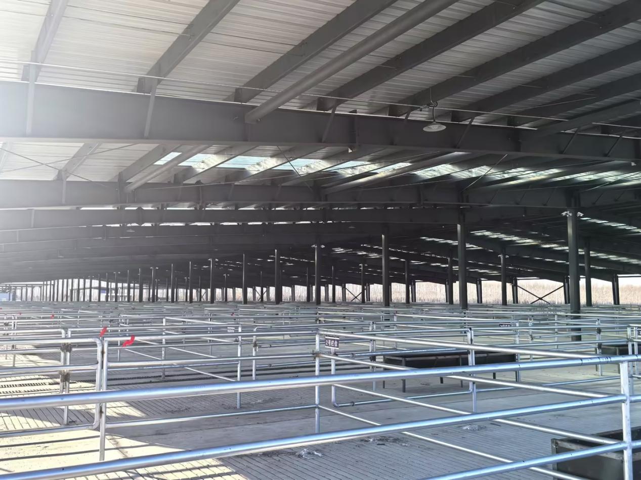 “一网”联千县 “土特产”变身“金招牌”养成记​——“832平台”以开发式帮扶激活黑土产业新动能(图3)