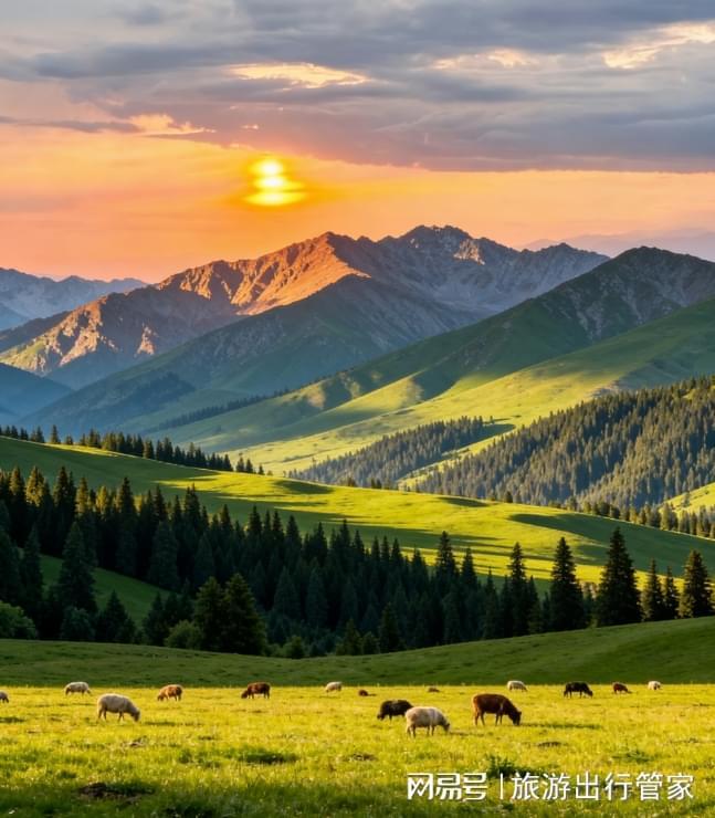 2026新疆七日游跟团报价喀纳斯禾木赛里木湖旅游攻略+核心景点(图2)