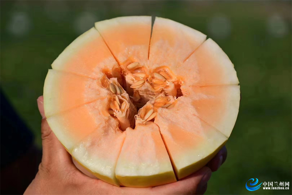 中共海南省委 海南省人民政府关于锚定农业农村现代化扎实推进乡村全面振兴的实施意见