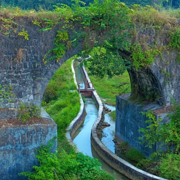 从武陵山区到世界舞台 重庆秀山发展闯新路(图2)