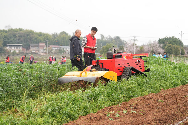 从自动播种到直播带货 北碚探索“全链条”助农惠农新模式(图1)