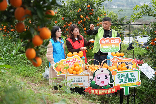 从自动播种到直播带货 北碚探索“全链条”助农惠农新模式(图2)