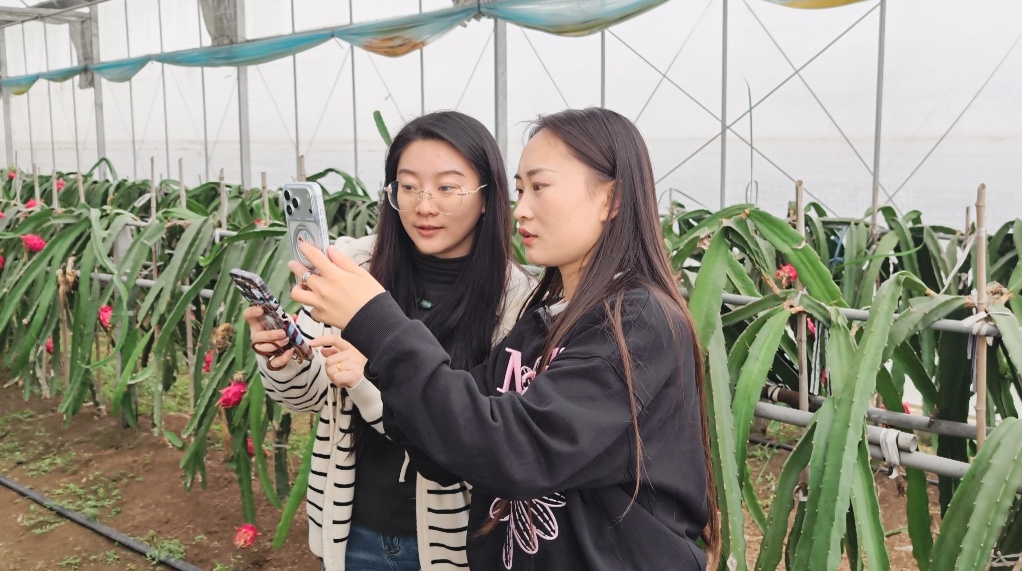 盐碱滩破“碱”重生记