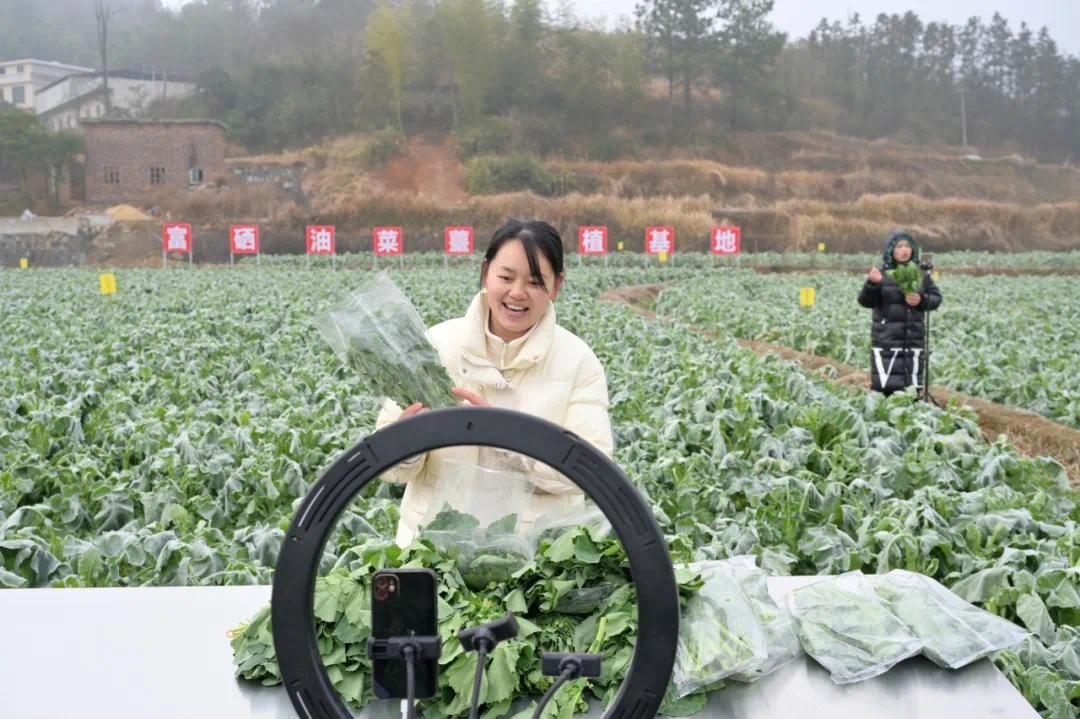 湖南电商 如何做实体经济的“合伙人”(图2)