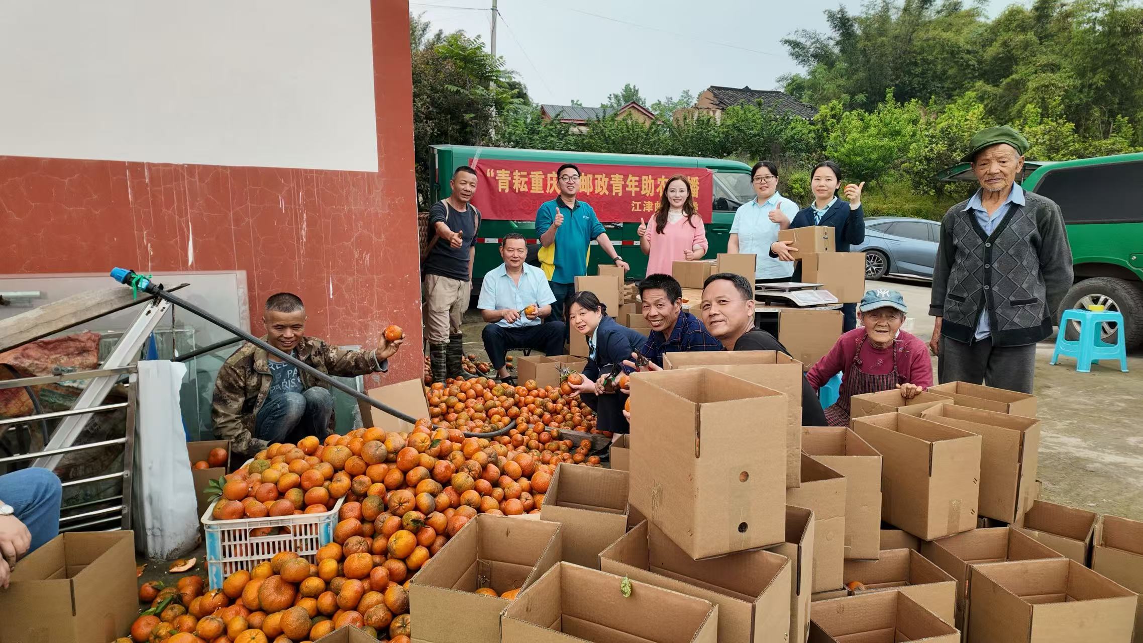 邮政助农促振兴 直播带货解民忧——江津邮政企业清明假期助农销售三月红柑3500斤(图1)
