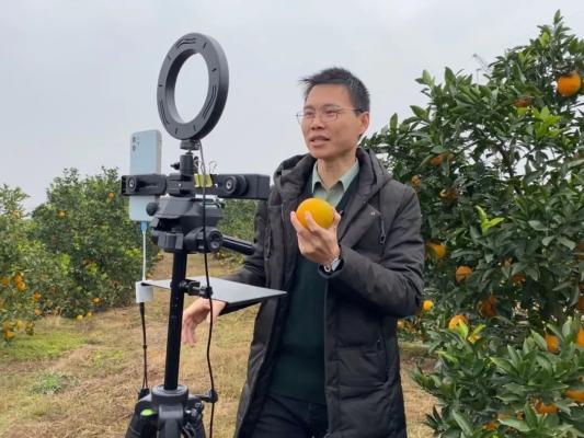 鼓励“店播”“村播”齐上阵(图1)