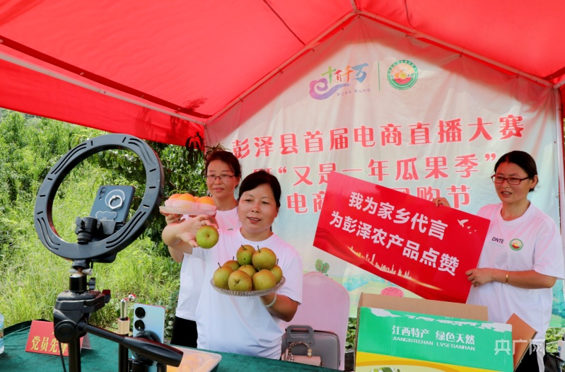 甘肃礼县：直播电商联动物流 助力农产品上行(图1)