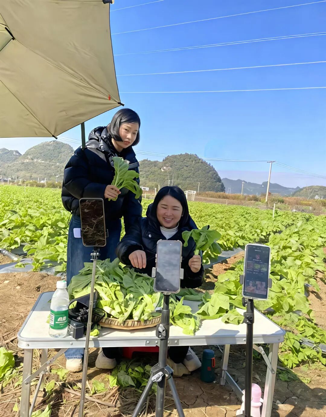 从村支书到“乡土主播”——邱县赵娜以电商点亮乡村发展路
