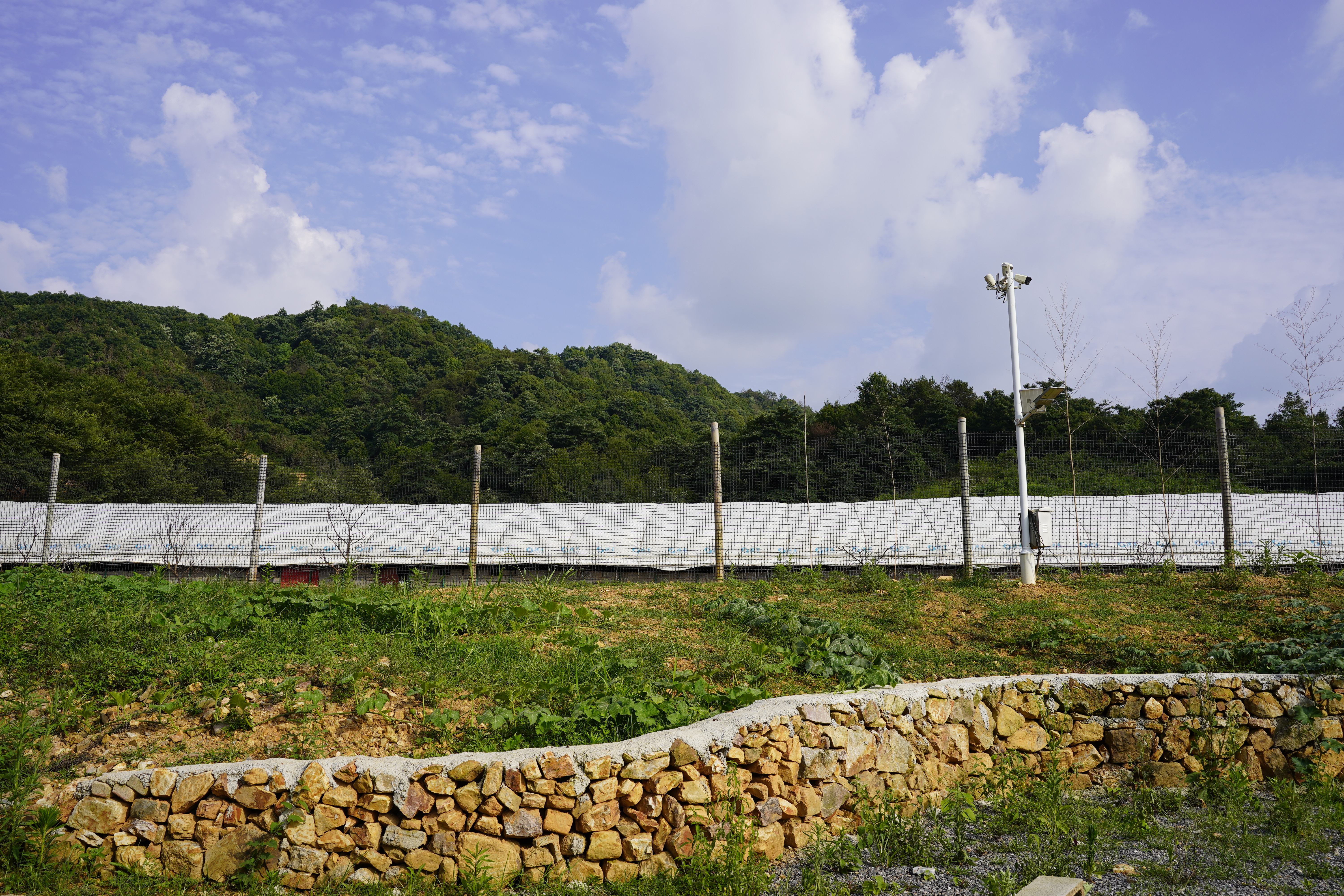 2026年新发布：电商渠道如何精准对接优质皖南土鸡蛋土特产