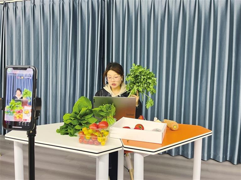 甘味出陇何以驶入云上高速专家学者献智