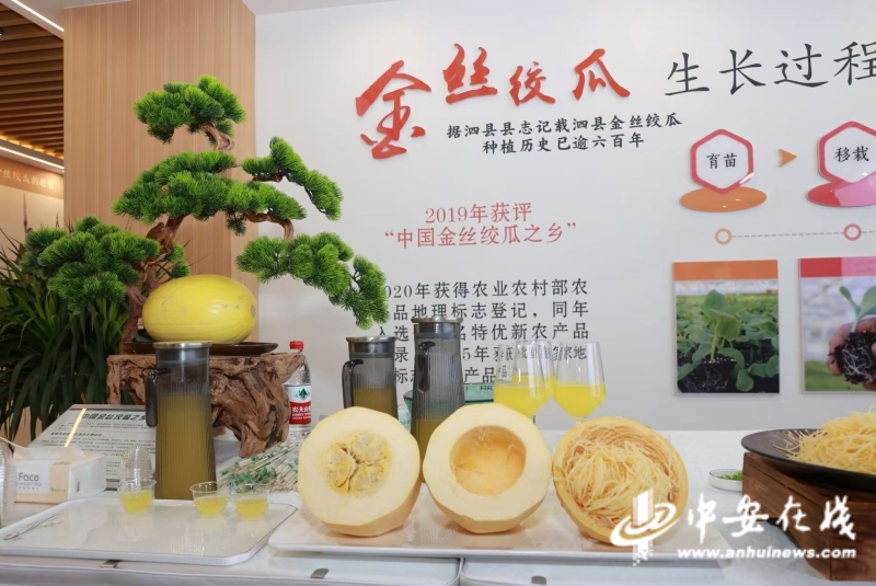 皖美好物 从“土特产”到“金名片”金丝绞瓜的出圈记
