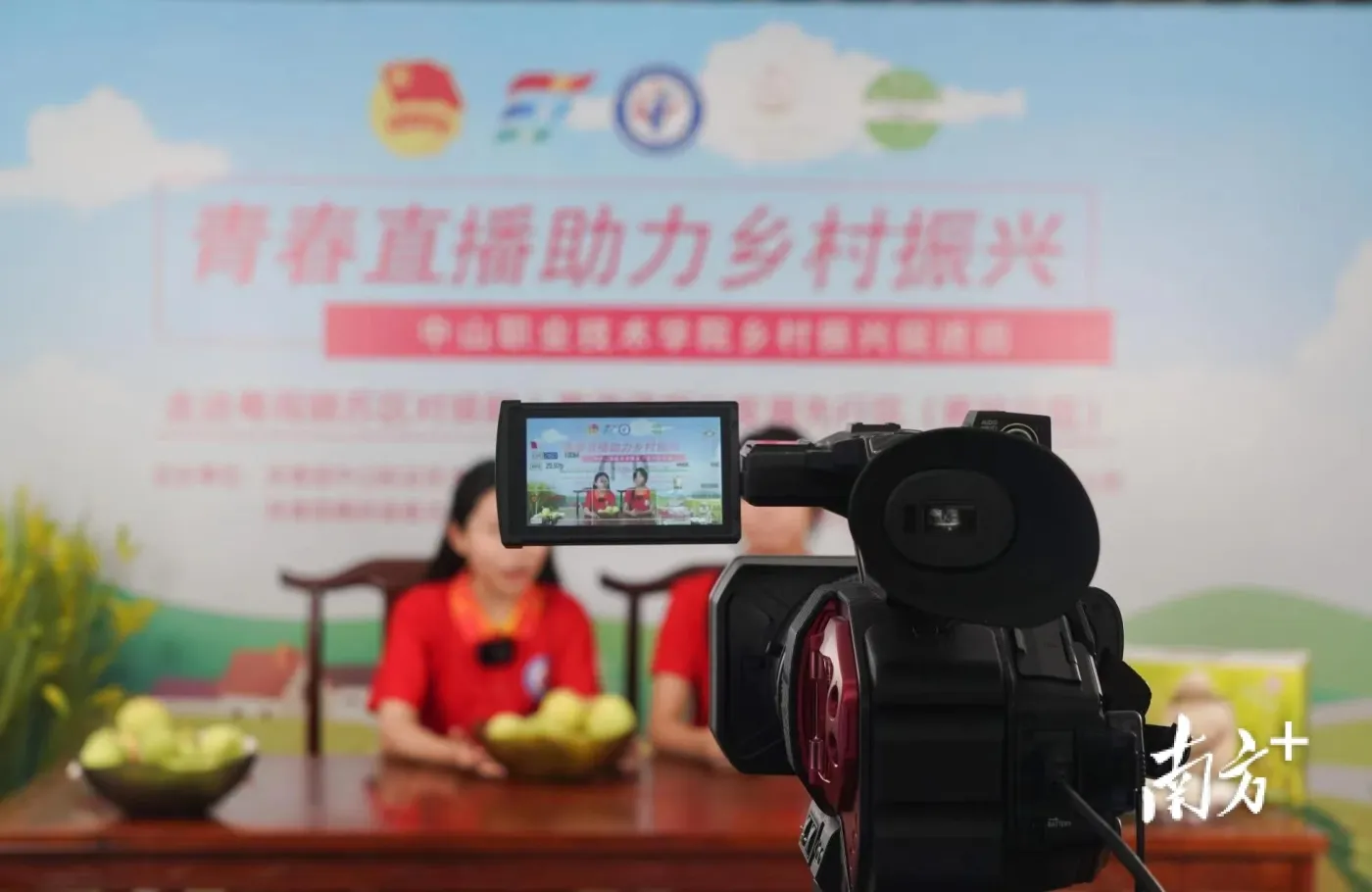 贵州罗甸：直播带货蜂糖李 拓宽农户增收路