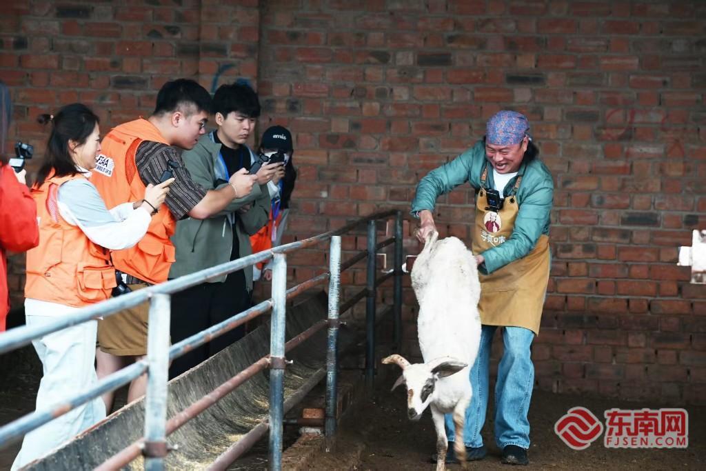 “闽宁情・山海助农”：溯源滩羊产地 同台助播拓宽山海产销路(图2)