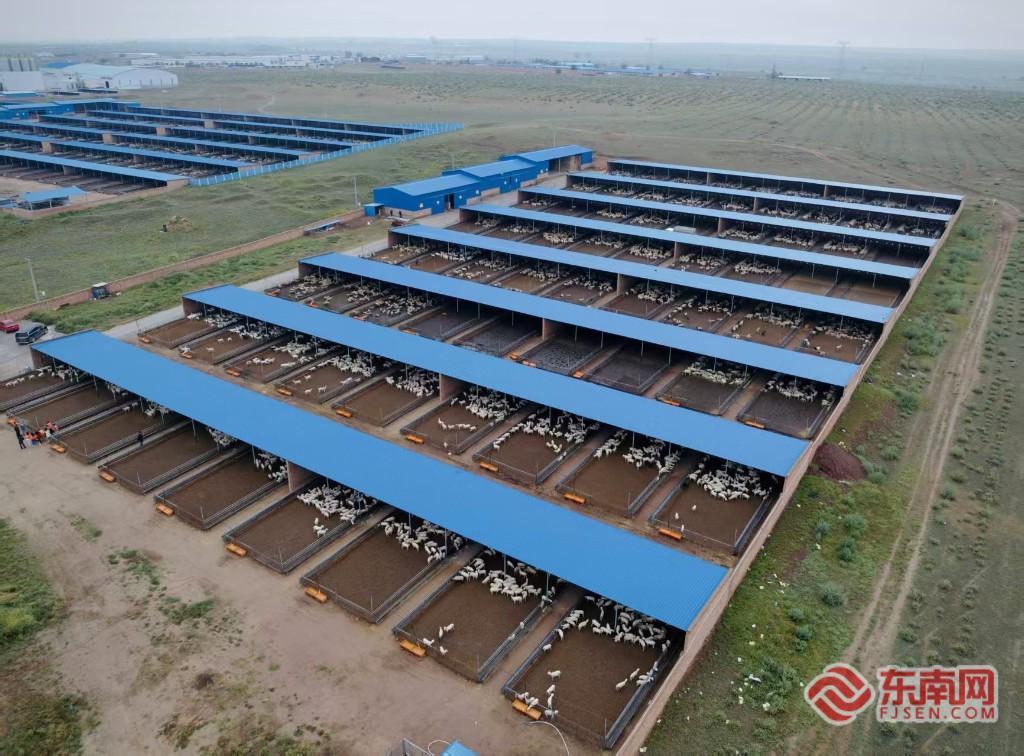 “闽宁情・山海助农”：溯源滩羊产地 同台助播拓宽山海产销路