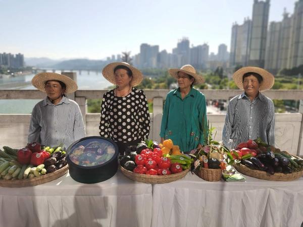 柳林县高家沟乡开启特色种植新天地