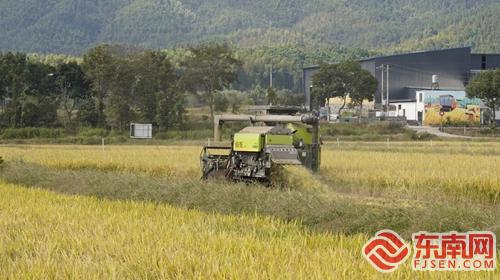 全省粮油规模种植主体单产提升暨“稻-再-油”模式推广现场观摩会在浦城召开